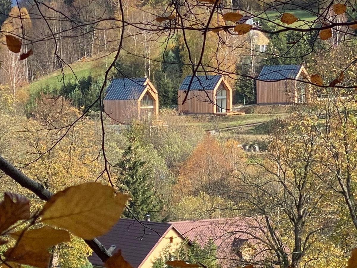 Domki Pod Lasem - Domek Brzozowy Stronie Śląskie Esterno foto