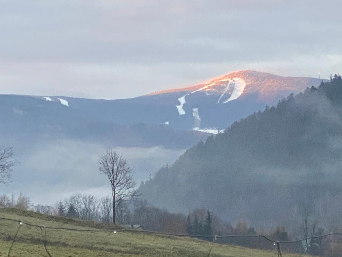 Domki Pod Lasem - Domek Brzozowy Stronie Śląskie Esterno foto