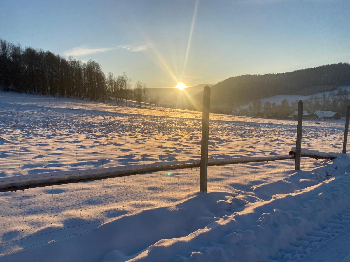 Domki Pod Lasem - Domek Brzozowy Stronie Śląskie Esterno foto