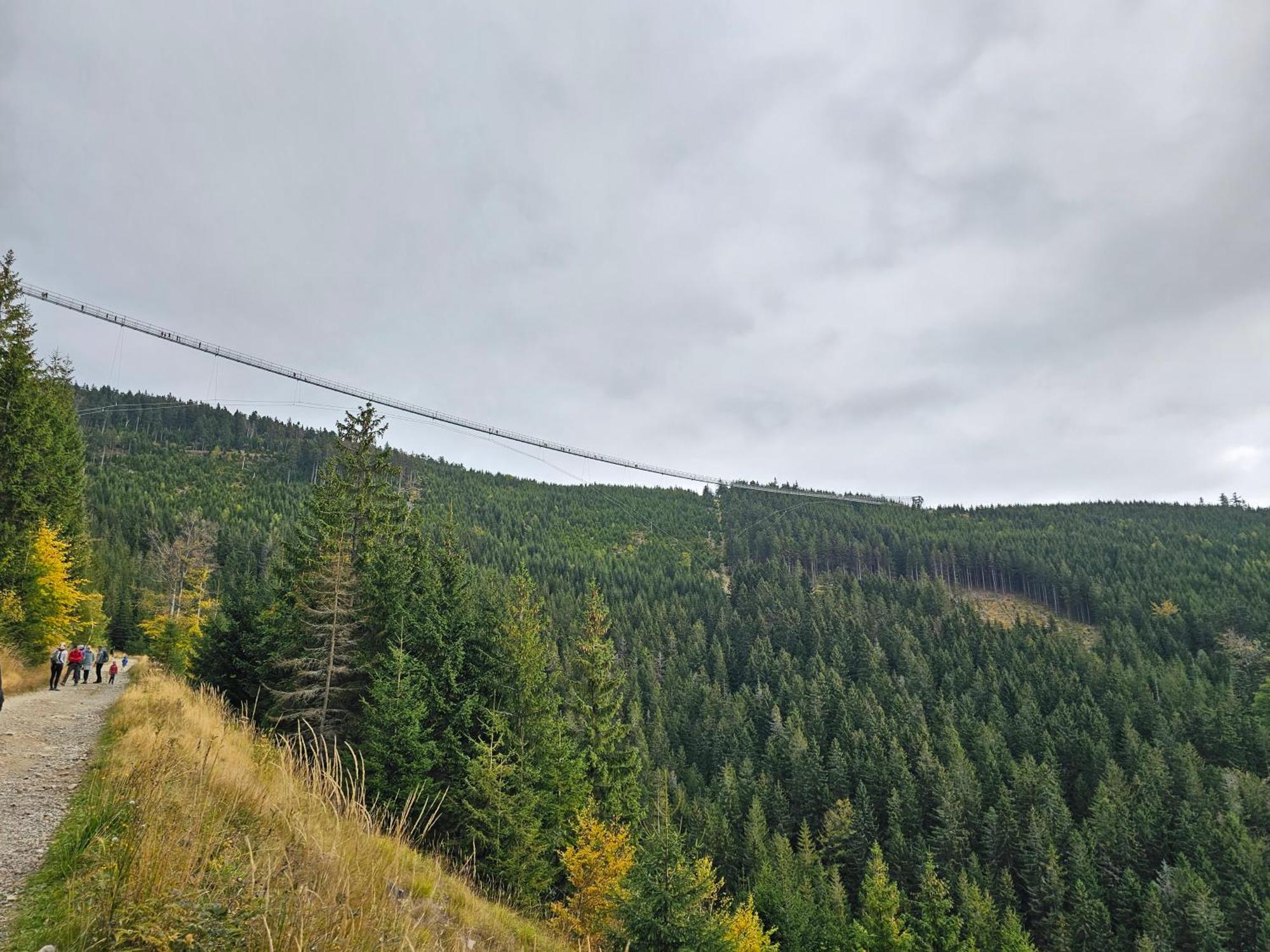 Domki Pod Lasem - Domek Brzozowy Stronie Śląskie Esterno foto