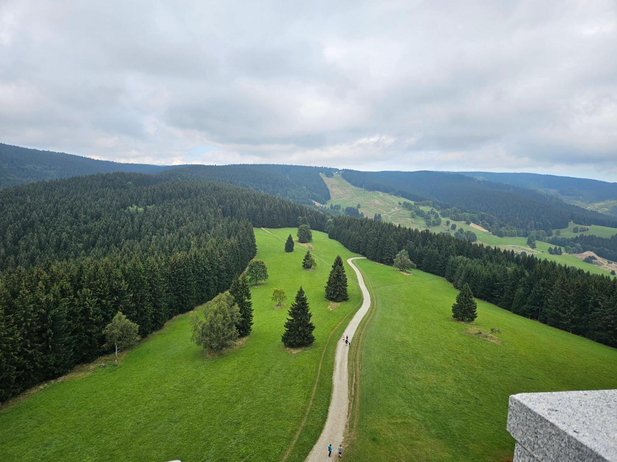 Domki Pod Lasem - Domek Brzozowy Stronie Śląskie Esterno foto