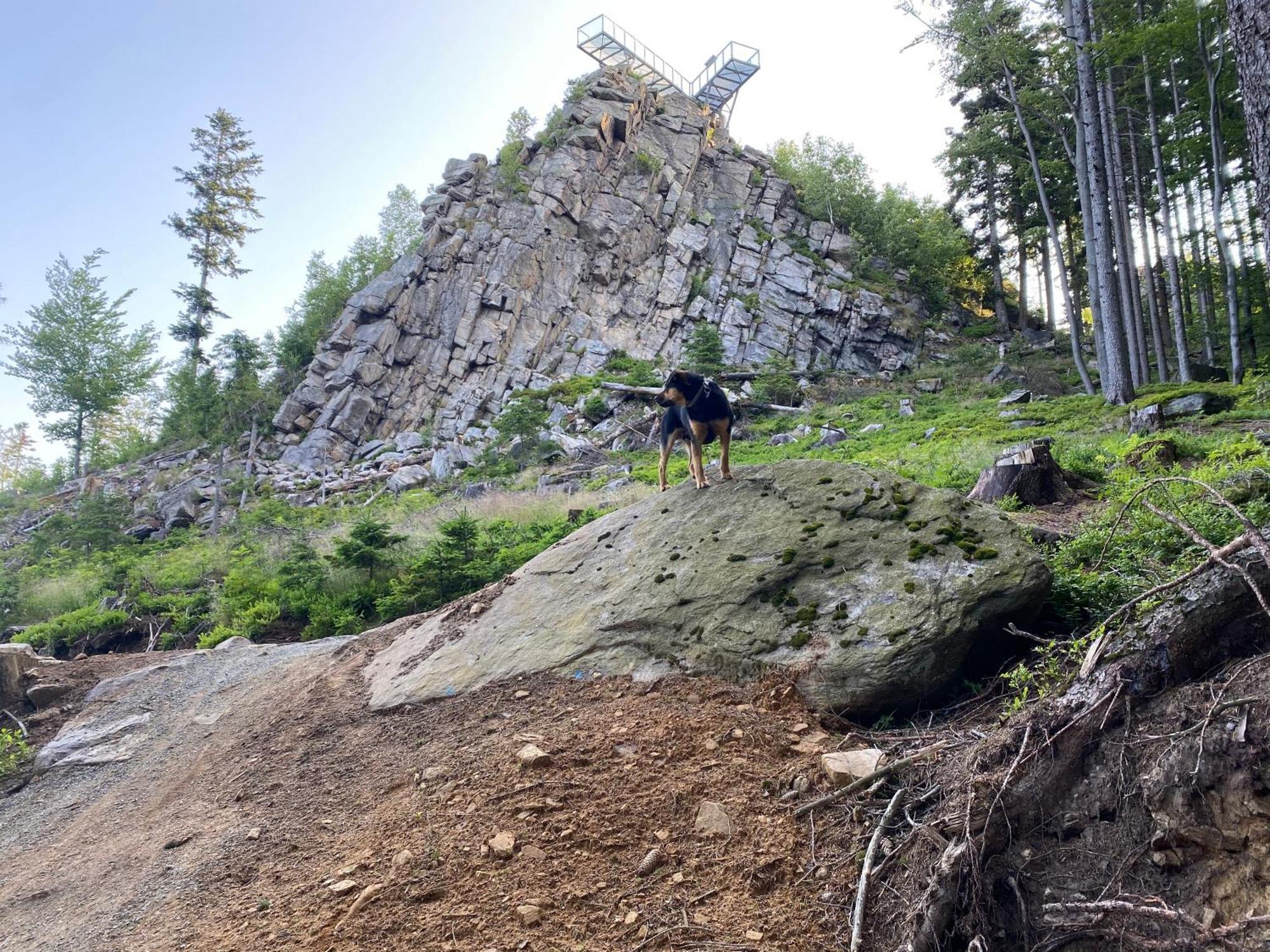 Domki Pod Lasem - Domek Brzozowy Stronie Śląskie Esterno foto